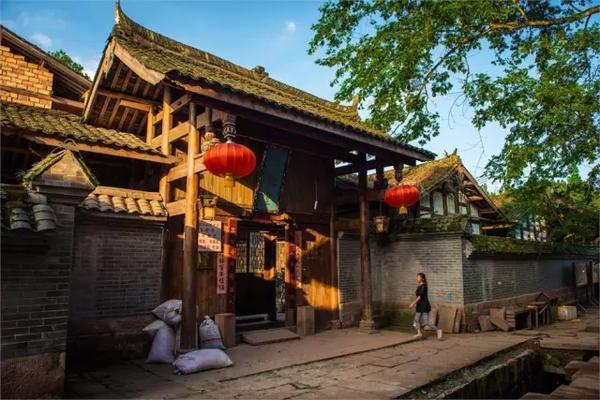 蜗牛问答平台-解答你的疑问香蕉长在树上还是地上
